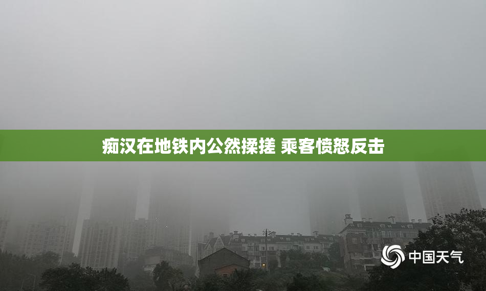 痴汉在地铁内公然揉搓 乘客愤怒反击