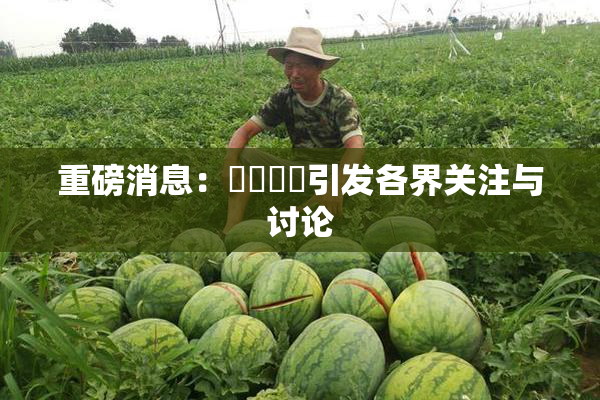 重磅消息：馃悢馃悢引发各界关注与讨论