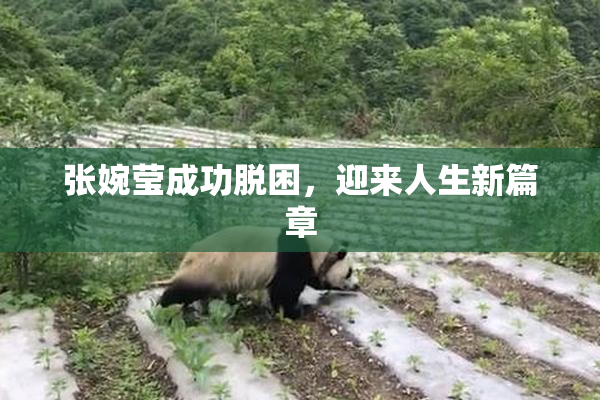 张婉莹成功脱困，迎来人生新篇章