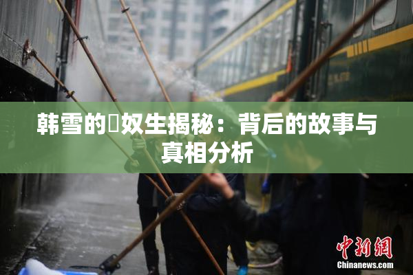 韩雪的婬奴生揭秘：背后的故事与真相分析