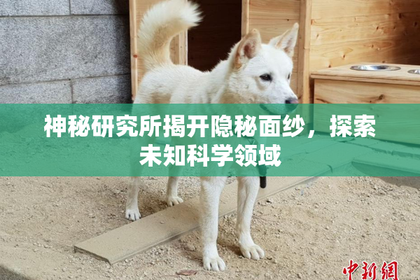 神秘研究所揭开隐秘面纱，探索未知科学领域