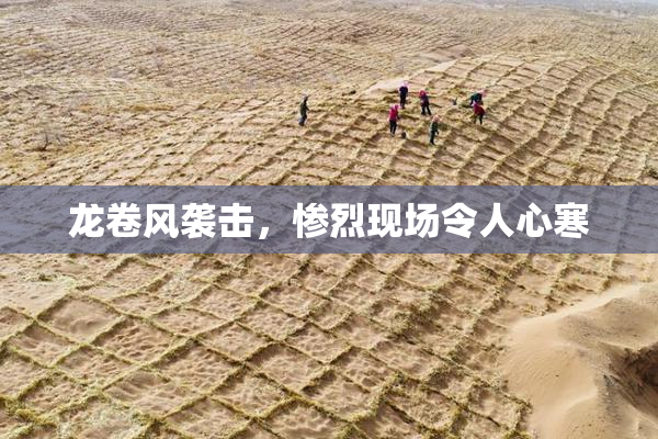 龙卷风袭击，惨烈现场令人心寒