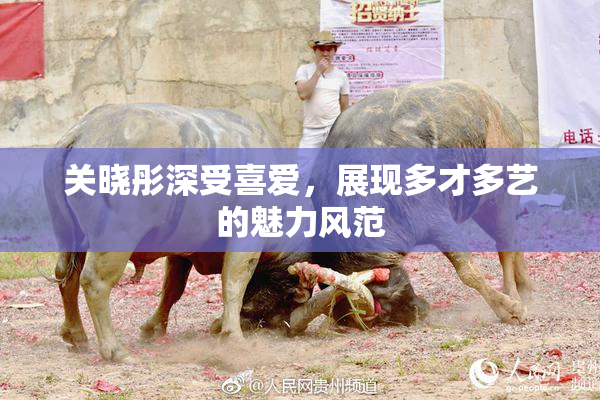 关晓彤深受喜爱，展现多才多艺的魅力风范