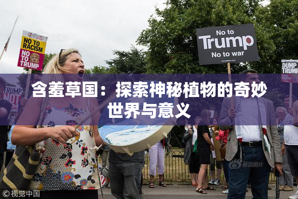 含羞草国：探索神秘植物的奇妙世界与意义