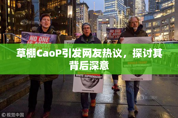 草棚CaoP引发网友热议，探讨其背后深意