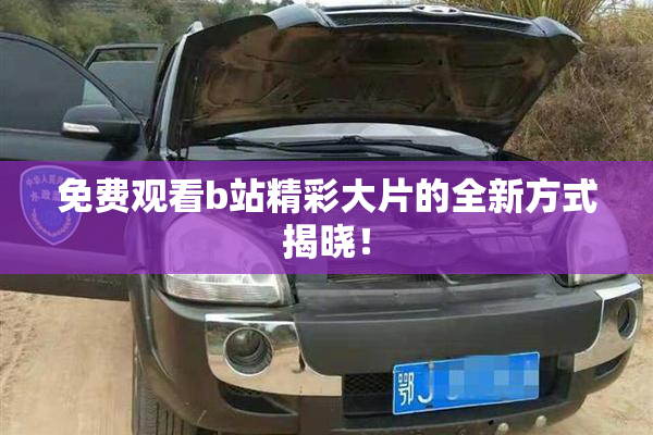免费观看b站精彩大片的全新方式揭晓！