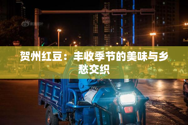 贺州红豆：丰收季节的美味与乡愁交织