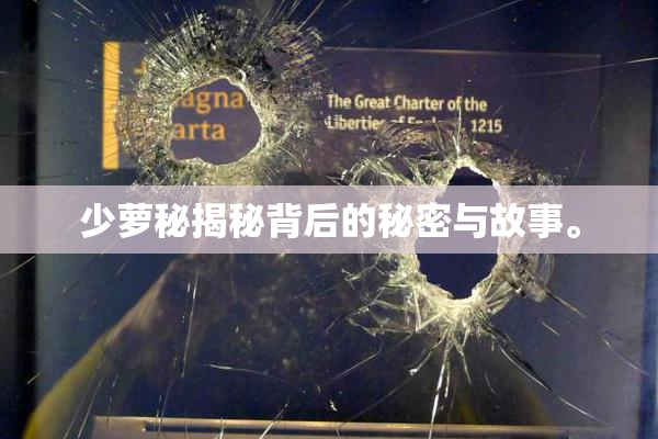少萝秘揭秘背后的秘密与故事。
