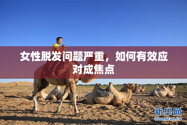 女性脱发问题严重，如何有效应对成焦点