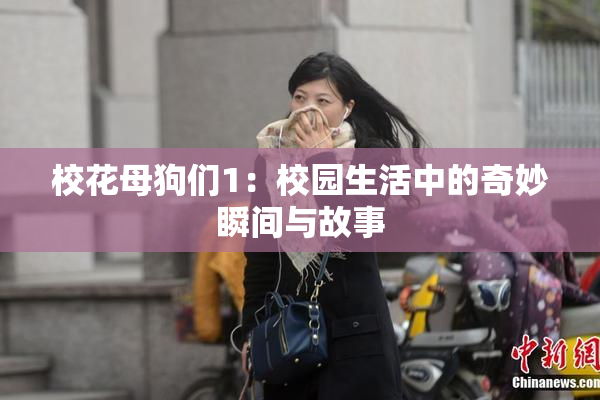 校花母狗们1：校园生活中的奇妙瞬间与故事