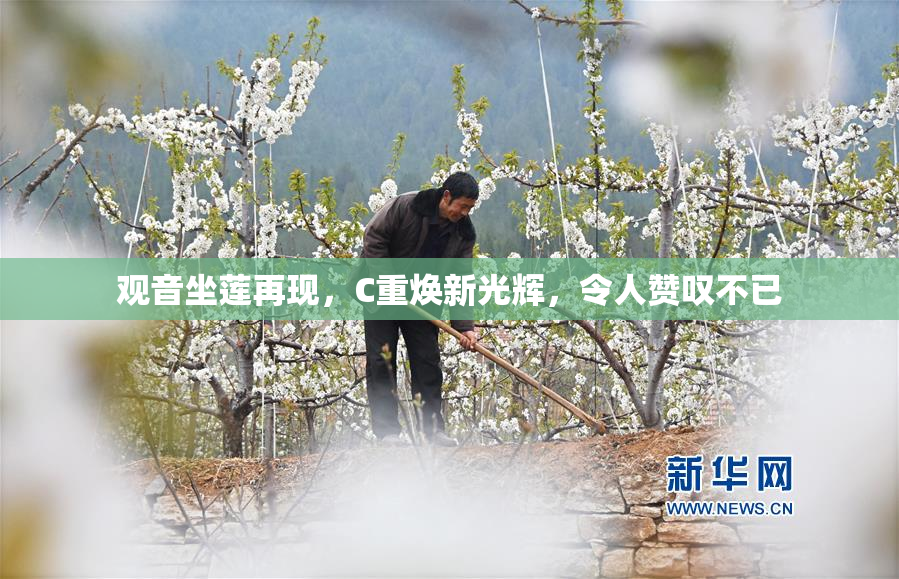 观音坐莲再现，C重焕新光辉，令人赞叹不已