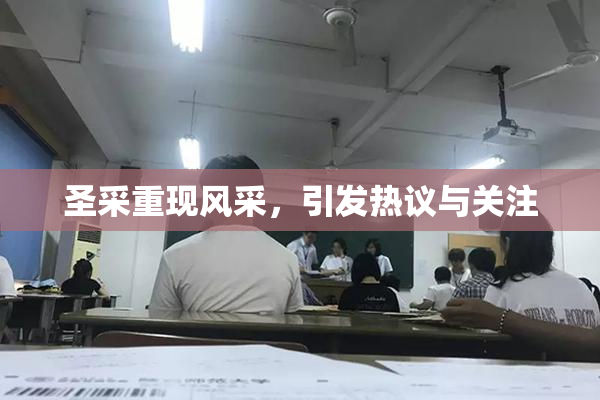 圣采重现风采，引发热议与关注