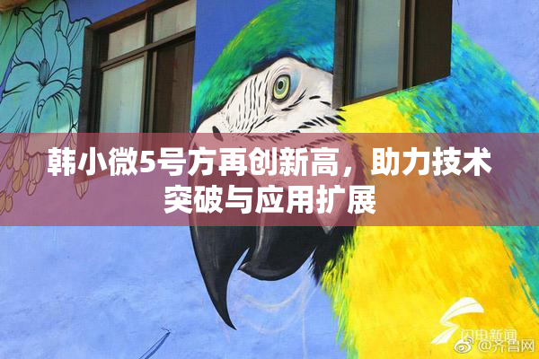 韩小微5号方再创新高，助力技术突破与应用扩展