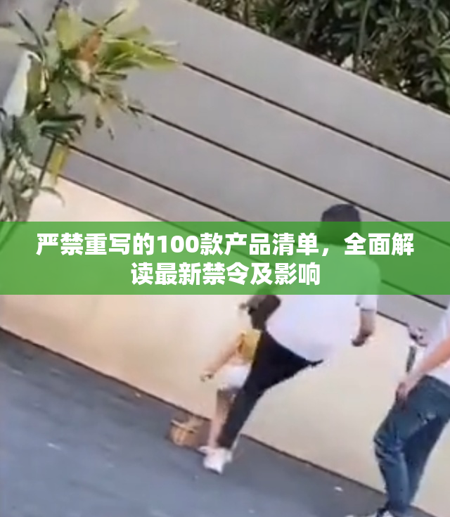 严禁重写的100款产品清单，全面解读最新禁令及影响