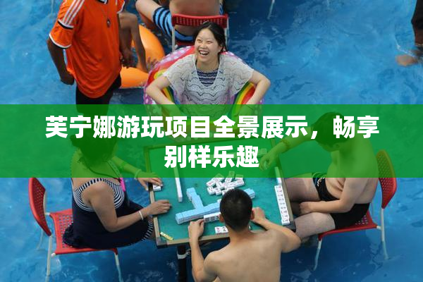 芙宁娜游玩项目全景展示，畅享别样乐趣