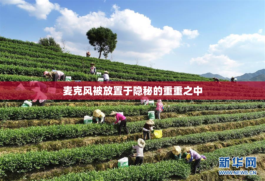 麦克风被放置于隐秘的重重之中