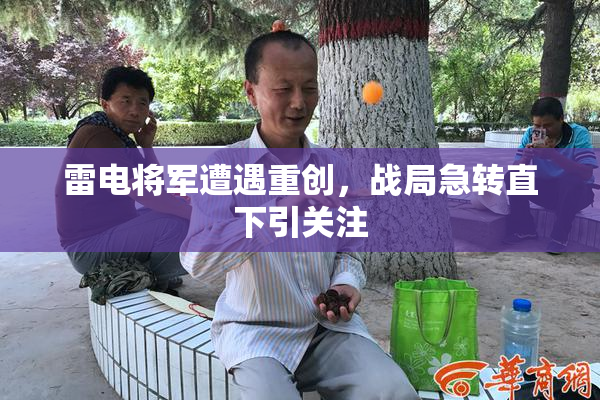 雷电将军遭遇重创，战局急转直下引关注