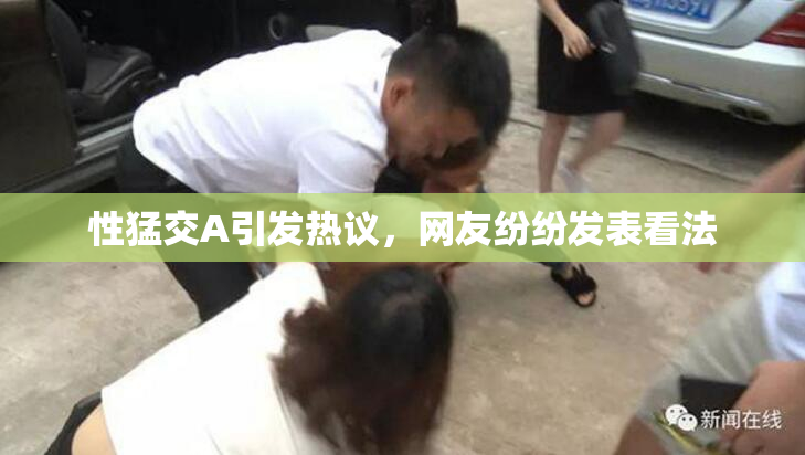 性猛交A引发热议，网友纷纷发表看法