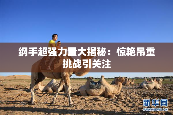 纲手超强力量大揭秘：惊艳吊重挑战引关注