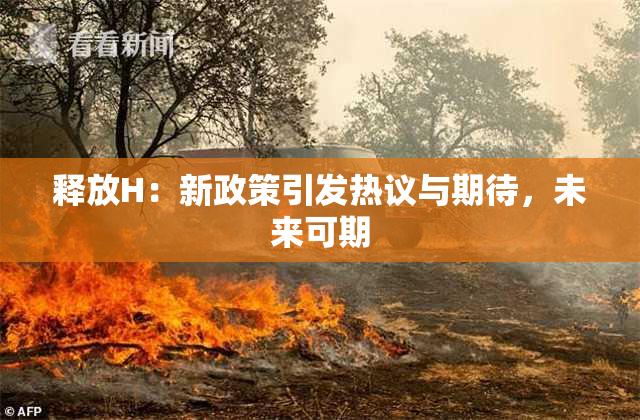 释放H：新政策引发热议与期待，未来可期