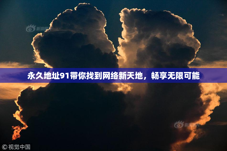 永久地址91带你找到网络新天地，畅享无限可能