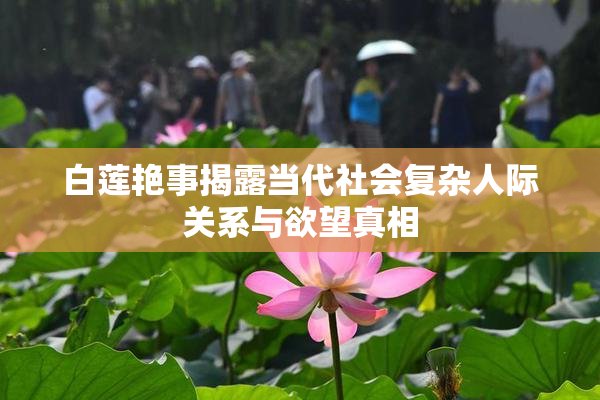 白莲艳事揭露当代社会复杂人际关系与欲望真相