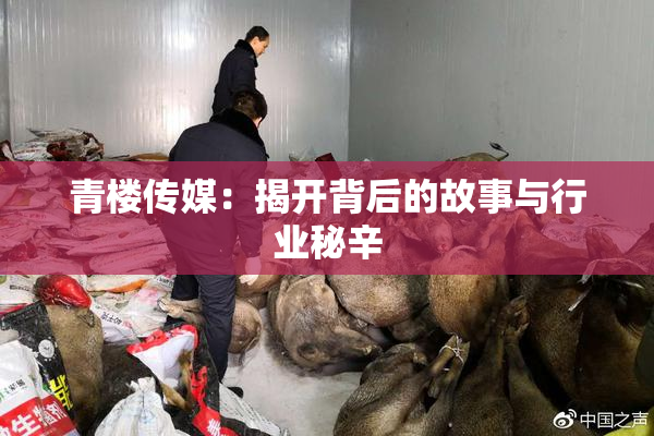 青楼传媒：揭开背后的故事与行业秘辛