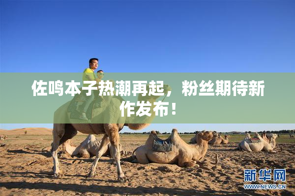 佐鸣本子热潮再起，粉丝期待新作发布！