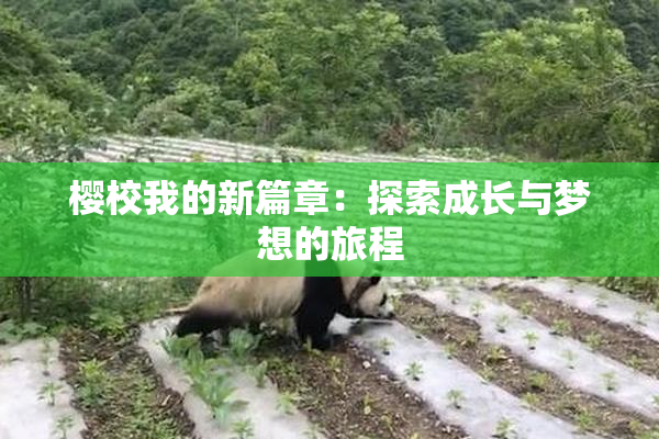 樱校我的新篇章：探索成长与梦想的旅程