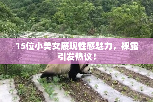 15位小美女展现性感魅力，裸露引发热议！