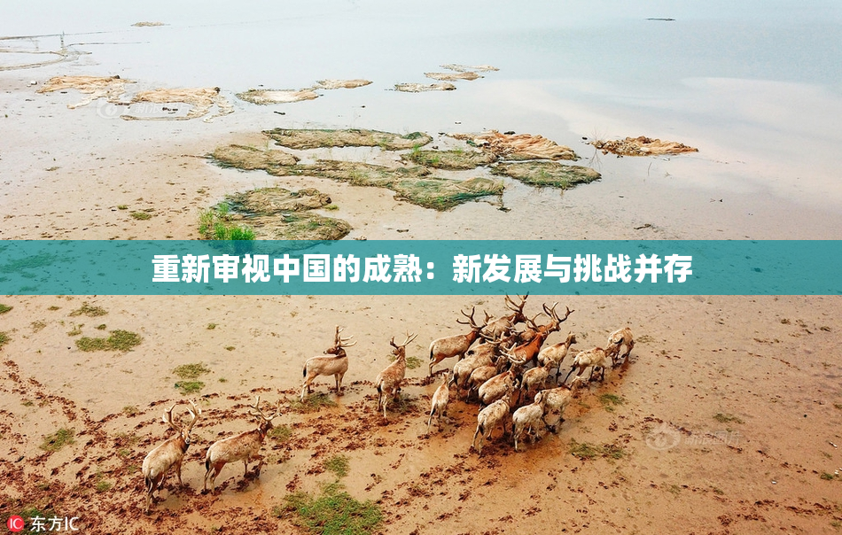 重新审视中国的成熟：新发展与挑战并存