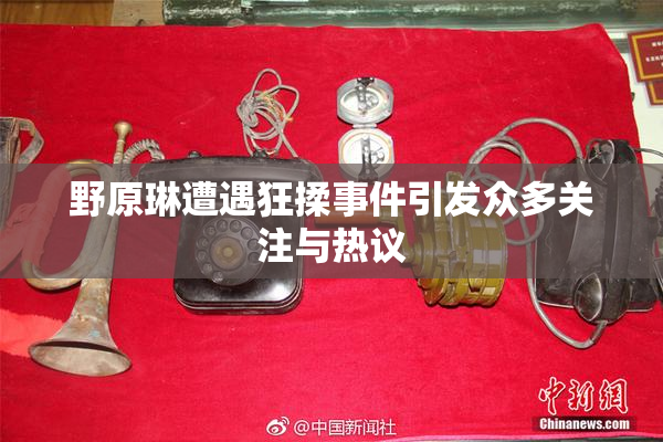 野原琳遭遇狂揉事件引发众多关注与热议
