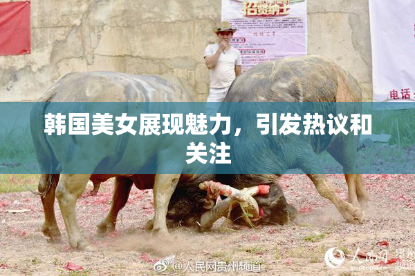 韩国美女展现魅力，引发热议和关注