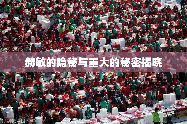 赫敏的隐秘与重大的秘密揭晓