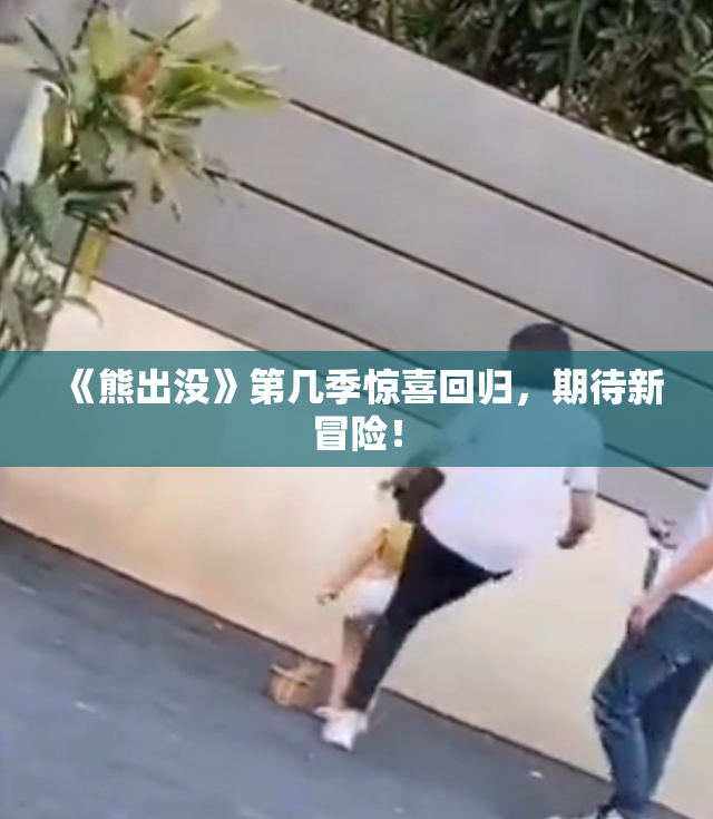 《熊出没》第几季惊喜回归，期待新冒险！