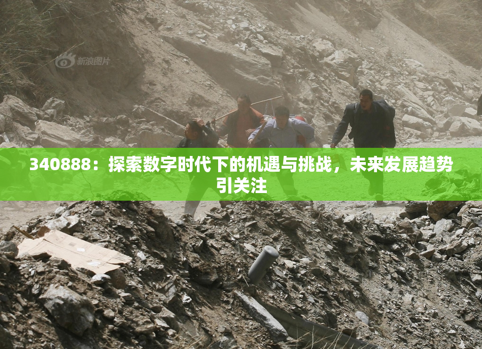 340888：探索数字时代下的机遇与挑战，未来发展趋势引关注