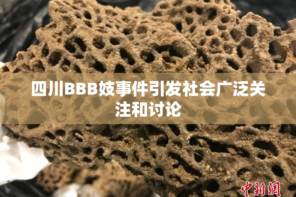 四川BBB妓事件引发社会广泛关注和讨论