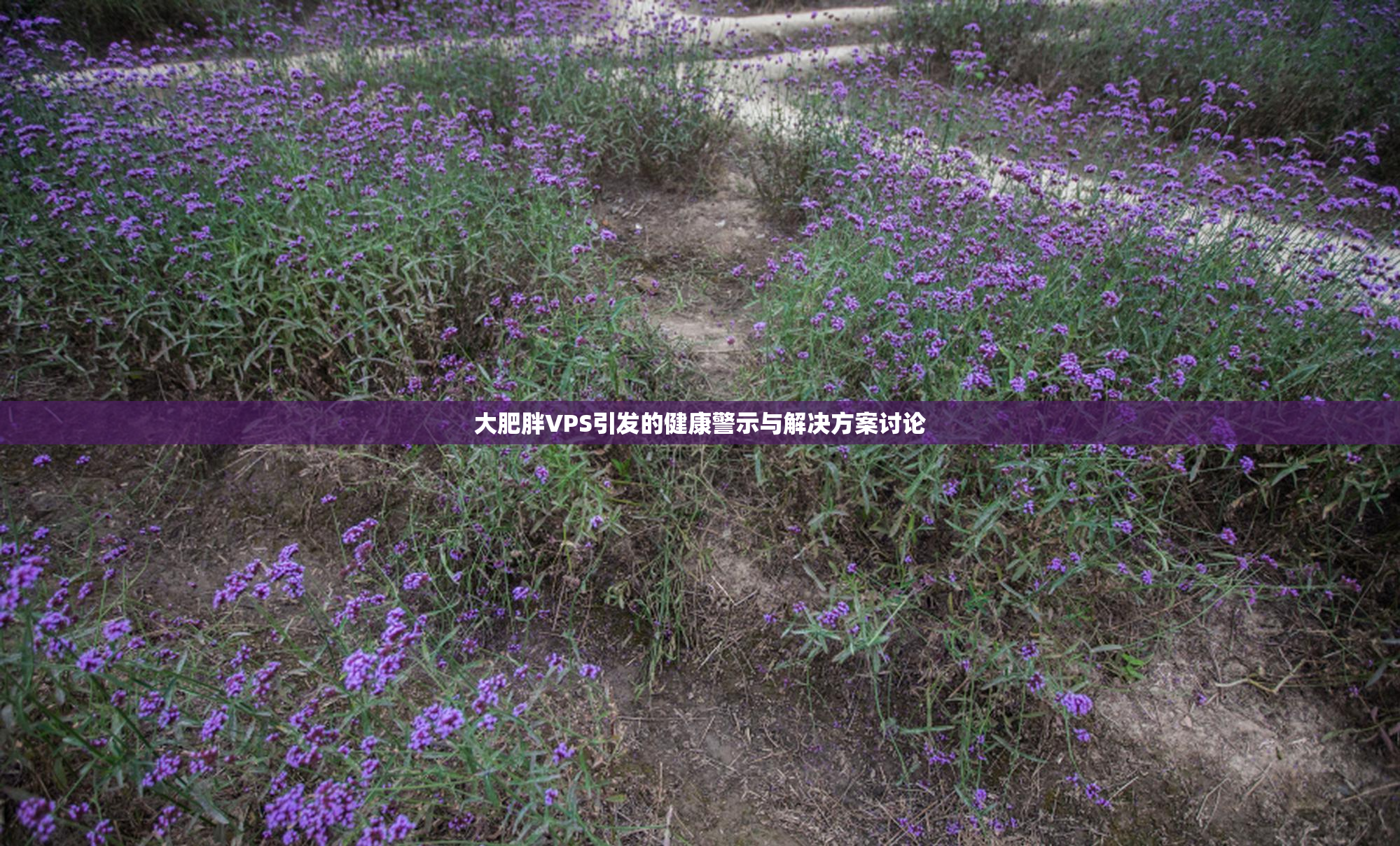 大肥胖VPS引发的健康警示与解决方案讨论