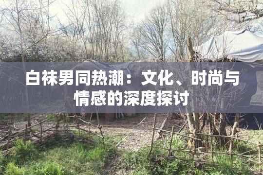 白袜男同热潮：文化、时尚与情感的深度探讨