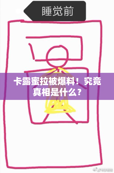 卡露蜜拉被爆料！究竟真相是什么？