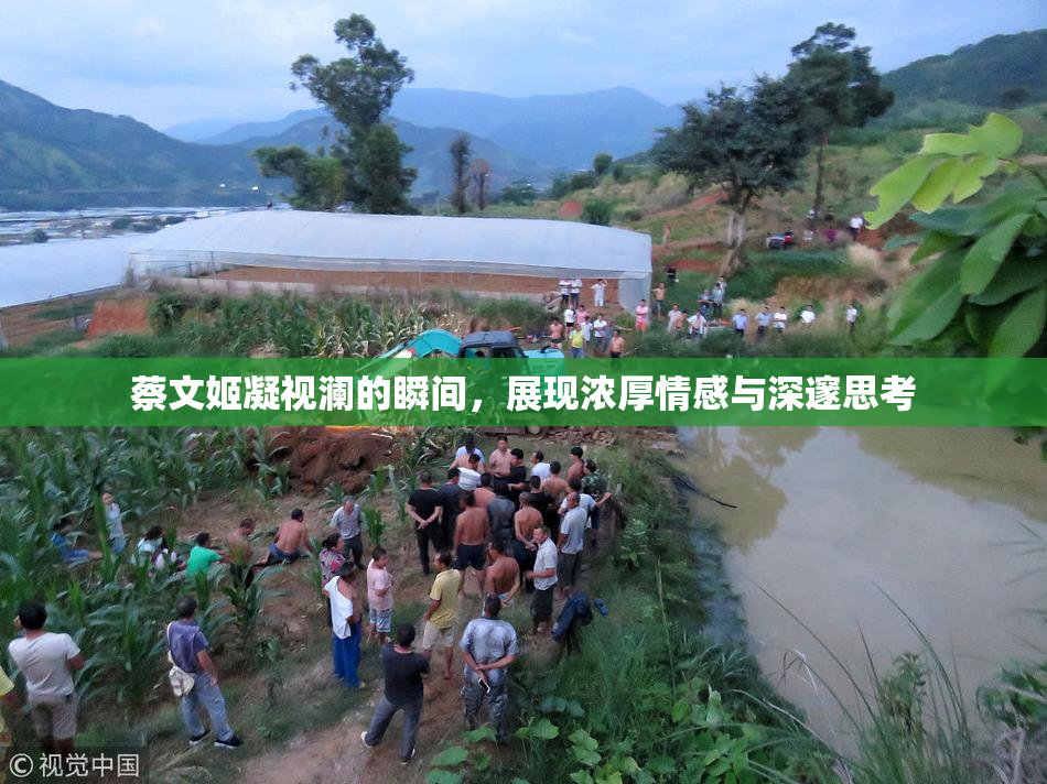 蔡文姬凝视澜的瞬间，展现浓厚情感与深邃思考