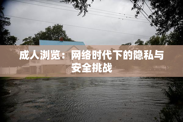 成人浏览：网络时代下的隐私与安全挑战