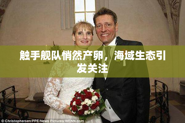 触手舰队悄然产卵，海域生态引发关注