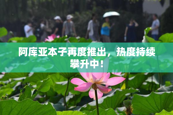 阿库亚本子再度推出，热度持续攀升中！