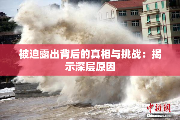 被迫露出背后的真相与挑战：揭示深层原因