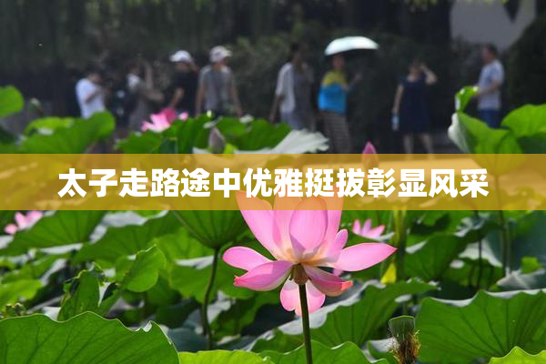 太子走路途中优雅挺拔彰显风采