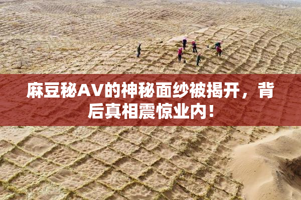 麻豆秘AV的神秘面纱被揭开，背后真相震惊业内！