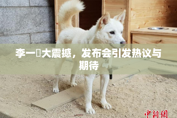李一挏大震撼，发布会引发热议与期待