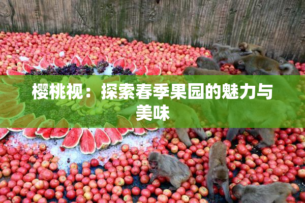 樱桃视：探索春季果园的魅力与美味