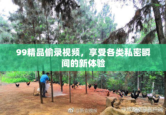 99精品偷录视频，享受各类私密瞬间的新体验